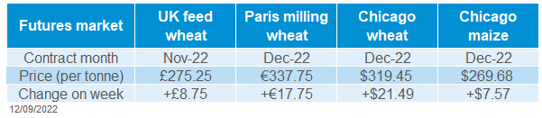 Grain futures prices on 12 09 2022